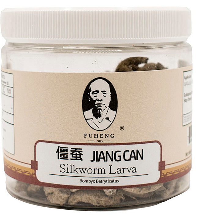 JIANG CAN - 僵蚕 - Silkworm Larva - FUHENG福恒 - Since 1905 - 100g