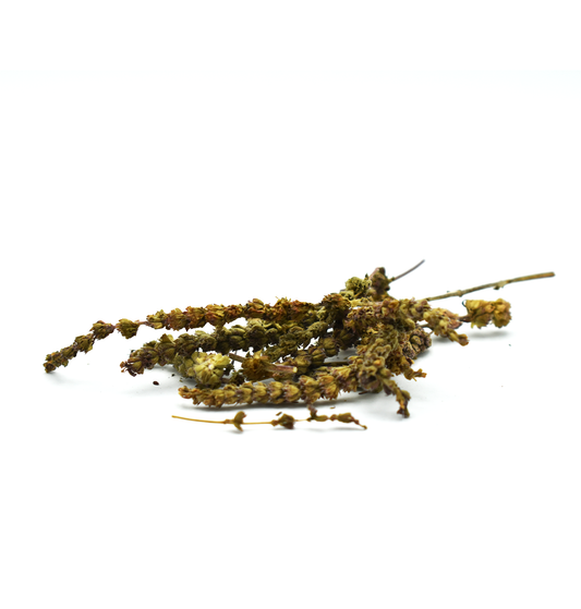 JING JIE - 荆芥 - Schizonepeta Stem or Bud - Custom Amount