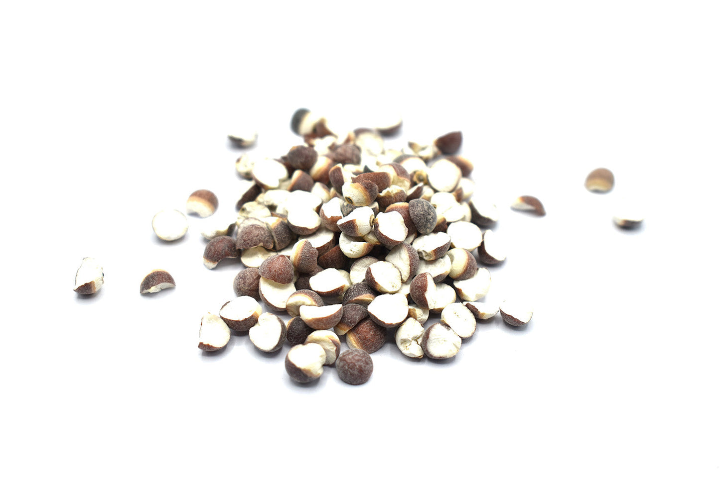 QIAN SHI - 芡實 - Euryale Seeds - Custom Amount