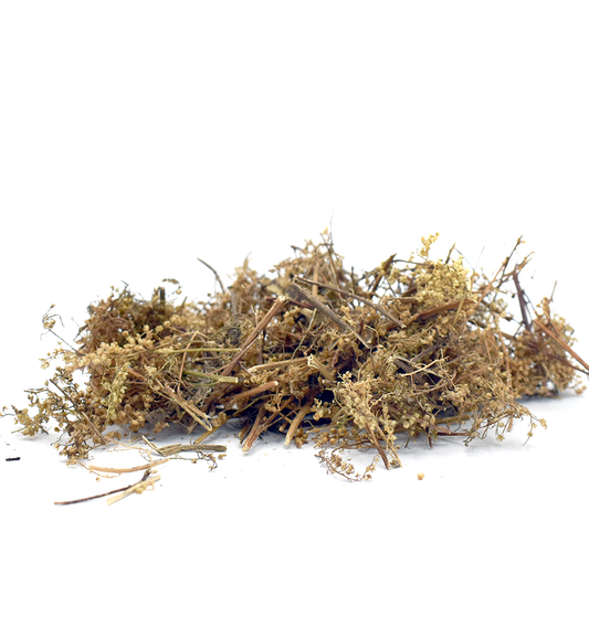 QING HAO - 青蒿 - Sweet Wormwood - Custom Amount