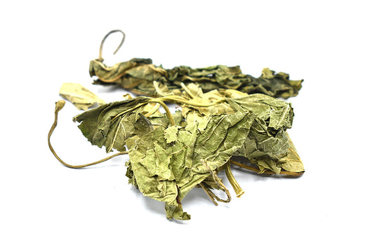 SANG YE - 桑叶 - White Mulberry Leaf - Custom Amount