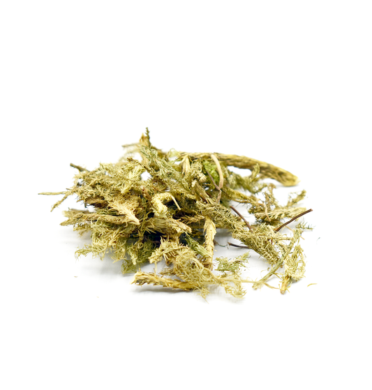 SHEN JIN CAO	 - 伸筋草 - Common Club Moss - Custom Amount