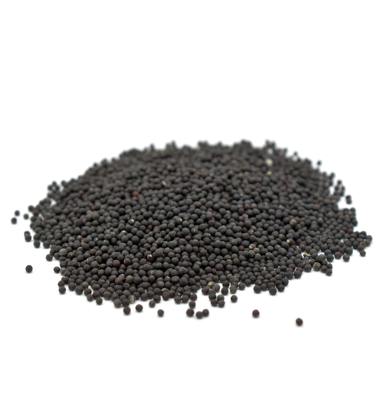 WANG BU LIU XING - 王不留行 - Cow Soapwort Seed - 100g