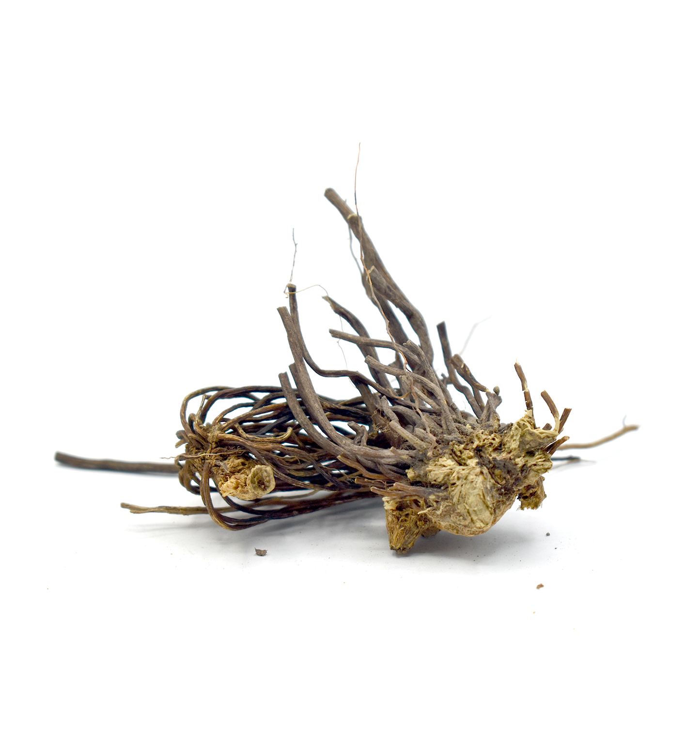 WEI LING XIAN - 威灵仙 - Clematis Root - Custom Amount