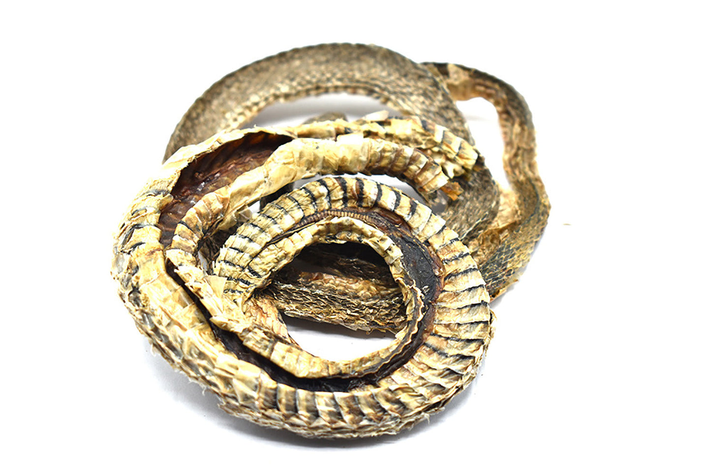 WU SHAO SHE - 乌梢蛇 - Black-Striped Snake - Custom Amount