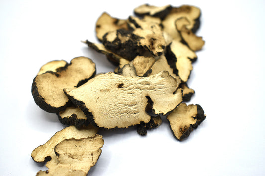 ZHU LING - 猪苓 - Umbel Polypore Mushroom - Custom amount